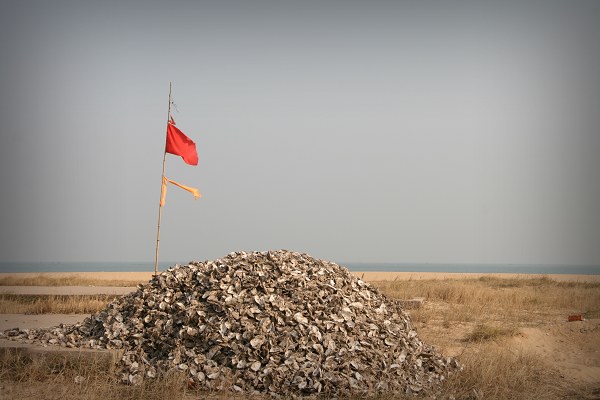 凄.jpg
