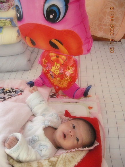 DSCN8290.jpg