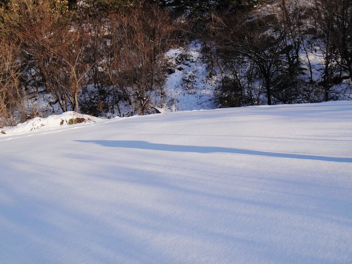 nEO_IMG_DSC00118.jpg