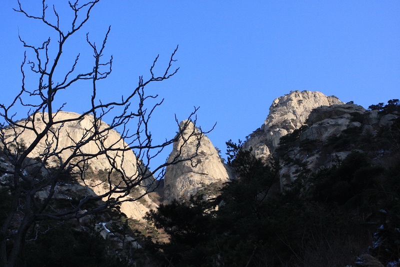 IMG_7462.JPG