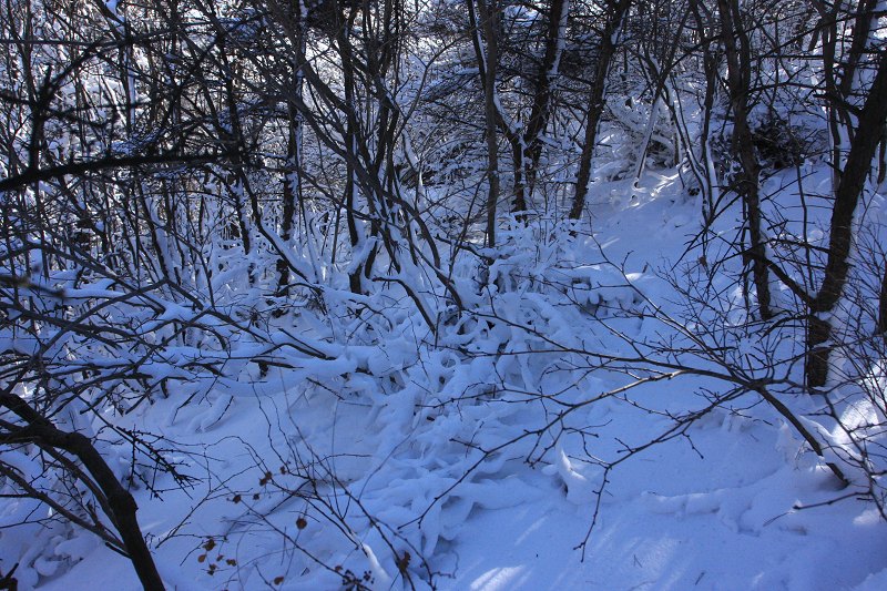 IMG_7477.JPG