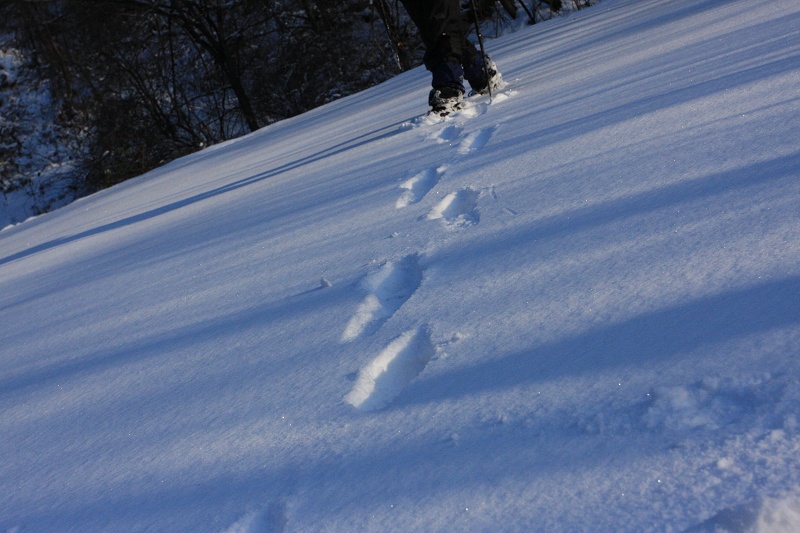 IMG_7487.JPG