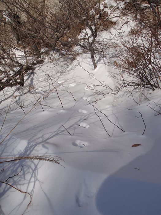 旋转 DSC00096.JPG
