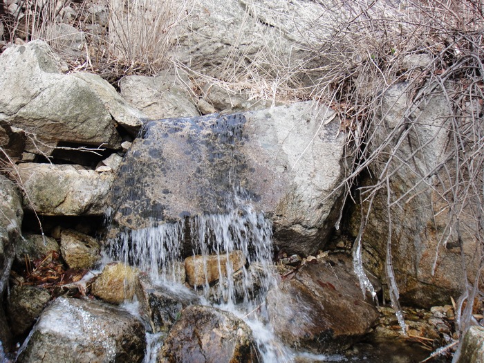 nEO_IMG_DSC00218.jpg