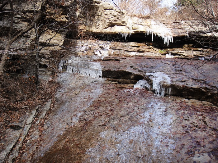 nEO_IMG_DSC00216.jpg