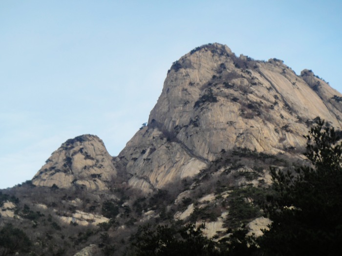 nEO_IMG_DSC00206.jpg