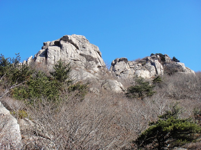 nEO_IMG_DSC00231.jpg