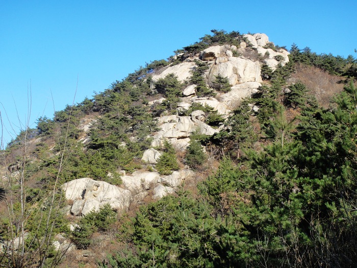 nEO_IMG_DSC00279.jpg