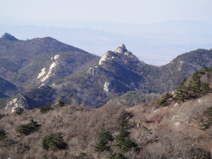 nEO_IMG_DSC00242.jpg