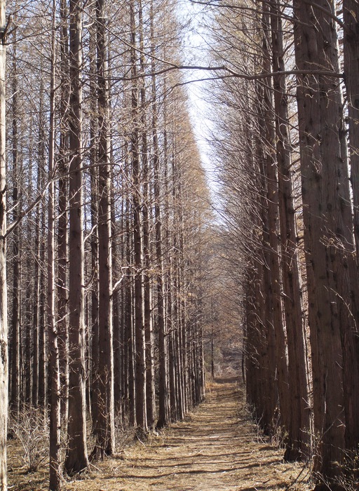 旋转 nEO_IMG_DSC00273.jpg