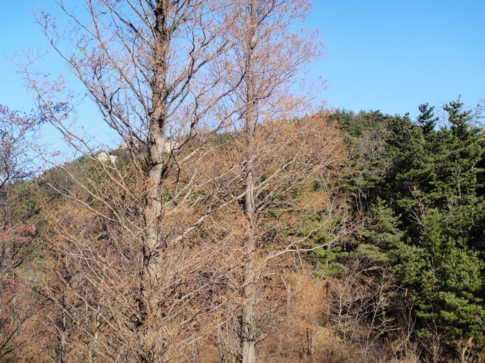 nEO_IMG_DSC00276.jpg