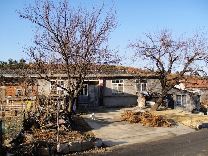 nEO_IMG_DSC00290.jpg