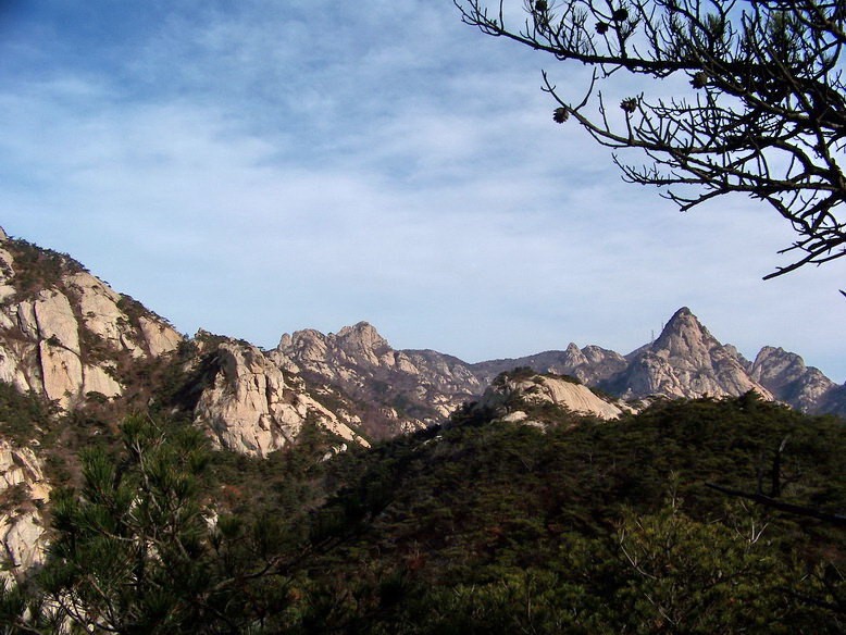 100_6390_缩小大小.jpg