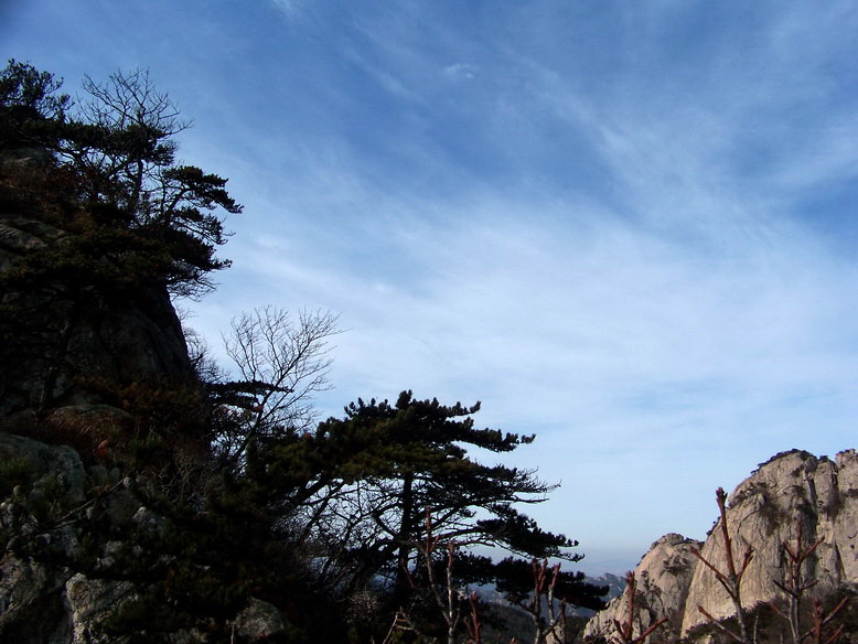 100_6448_缩小大小.jpg