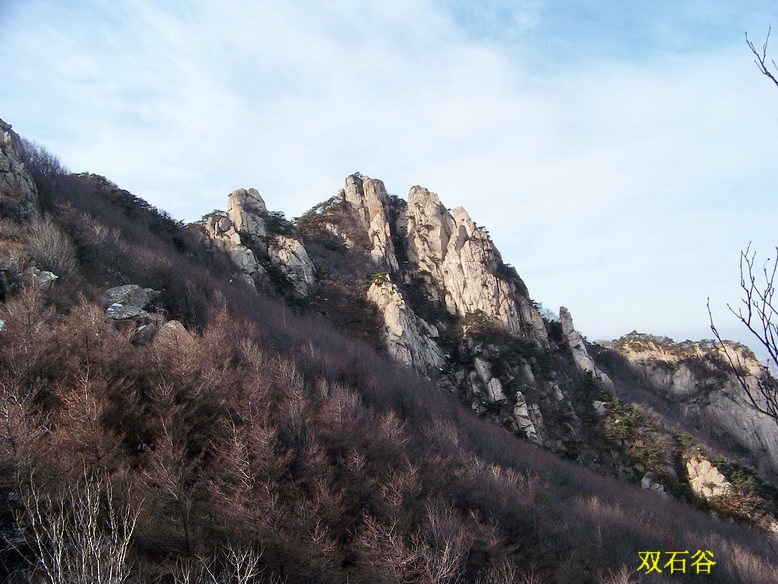 100_6464_缩小大小.jpg