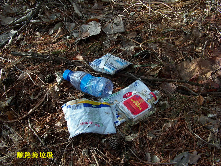 100_6532_缩小大小.JPG