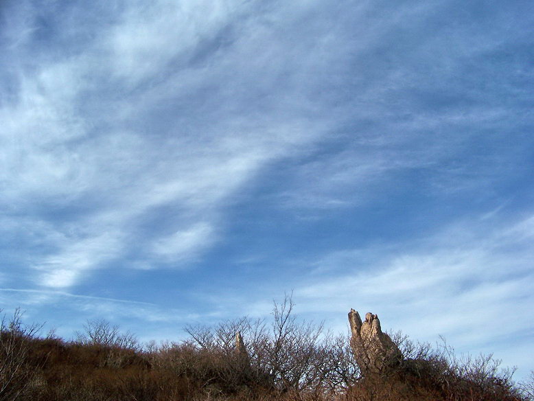 100_6522_缩小大小.jpg