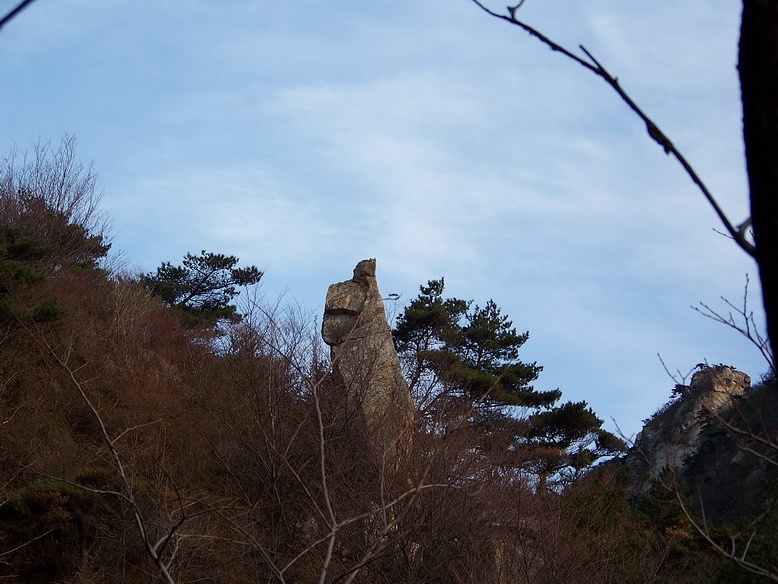 100_6547_缩小大小.JPG