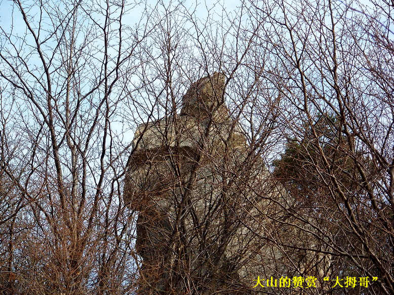 100_6541_缩小大小.JPG