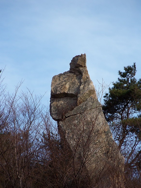 100_6551_缩小大小.JPG