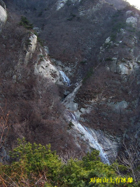 100_6559_缩小大小.JPG