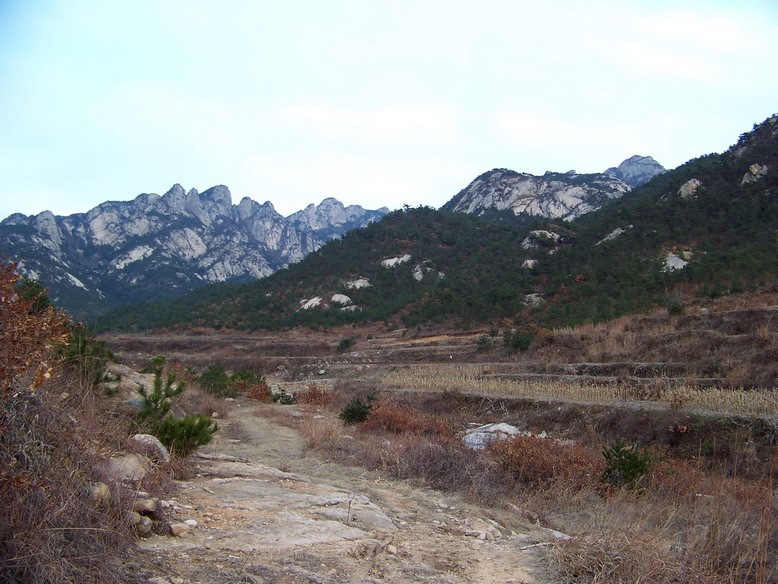 100_6592_缩小大小.JPG