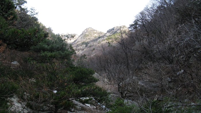 照片 017.jpg