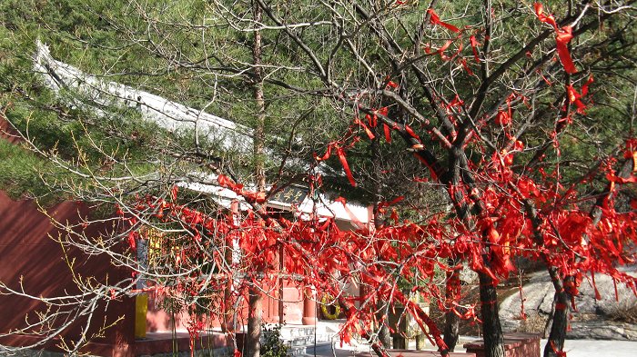 照片 087.jpg