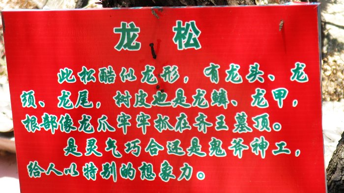 照片 118.jpg
