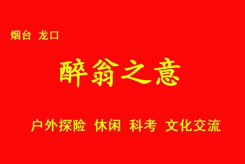 方案二