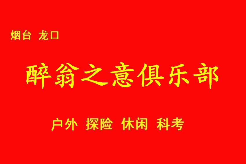 方案三