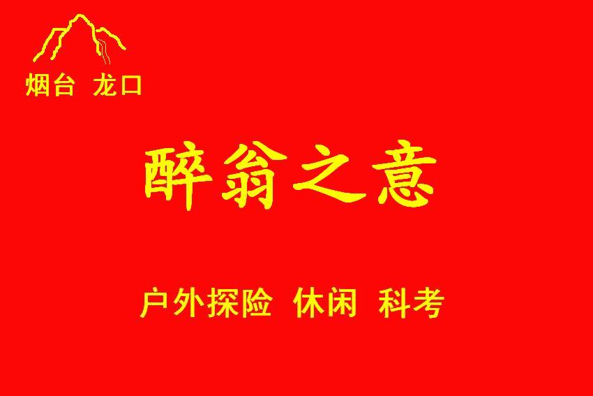 方案四
