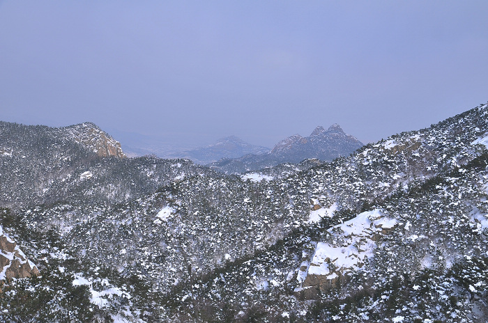 DSC_8349.JPG
