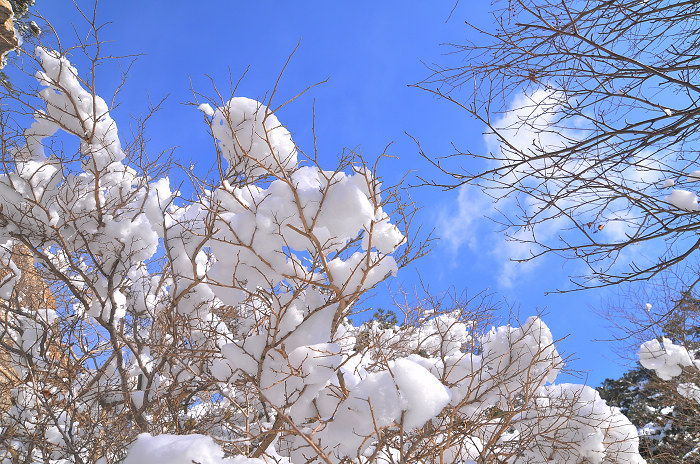 DSC_8330.JPG