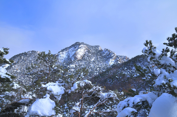 DSC_8345.JPG