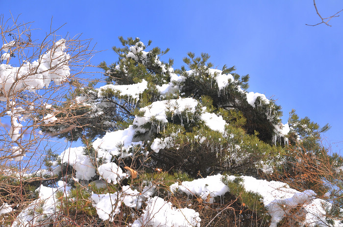 DSC_8331.JPG