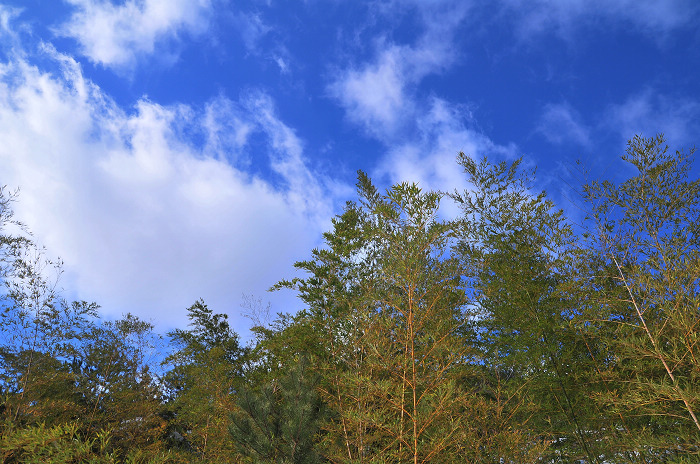 DSC_8457.JPG
