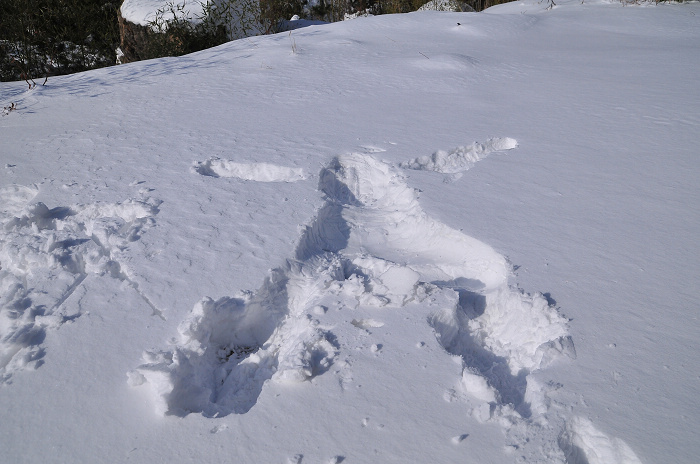 DSC_8468.JPG