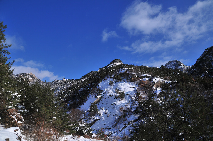 DSC_8446.JPG