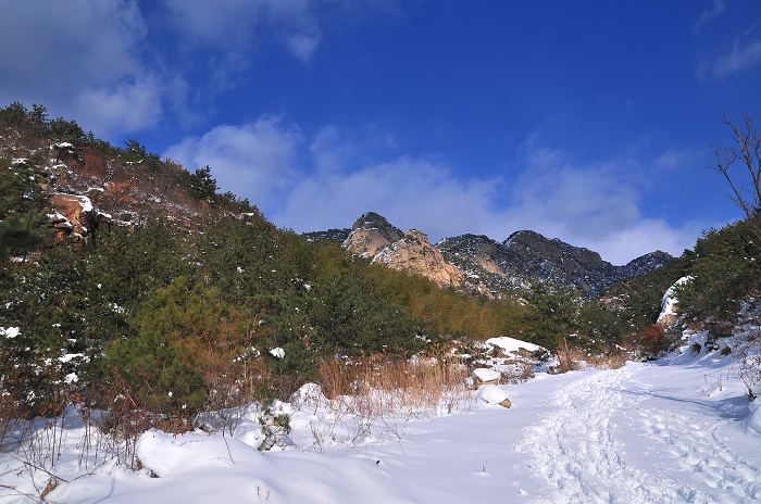DSC_8463.JPG