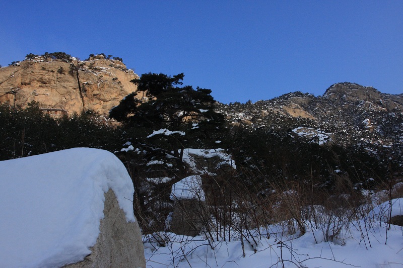 IMG_7524.JPG