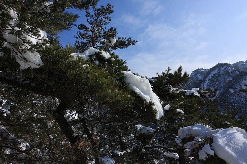 IMG_7536.JPG