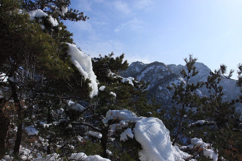IMG_7538.JPG