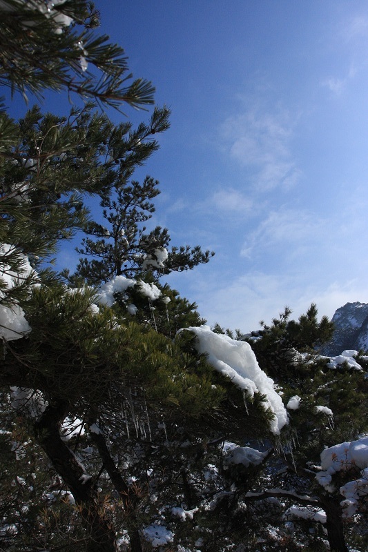 IMG_7537.JPG