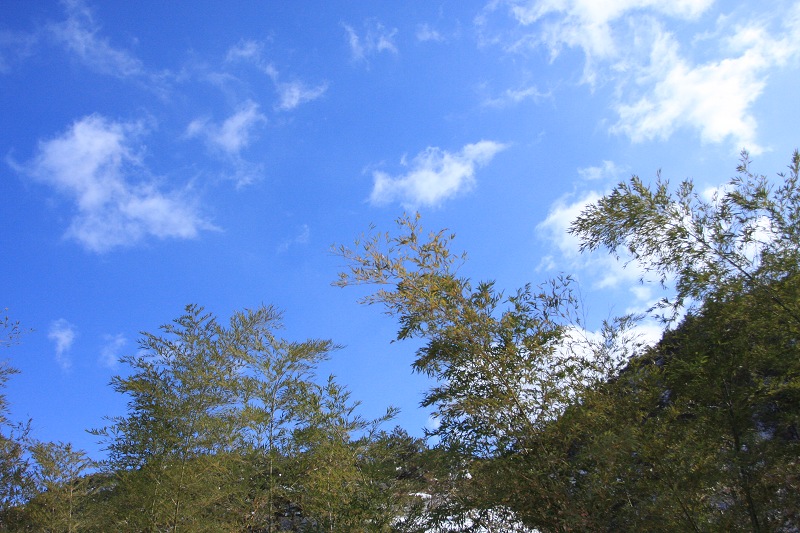 IMG_7658.JPG