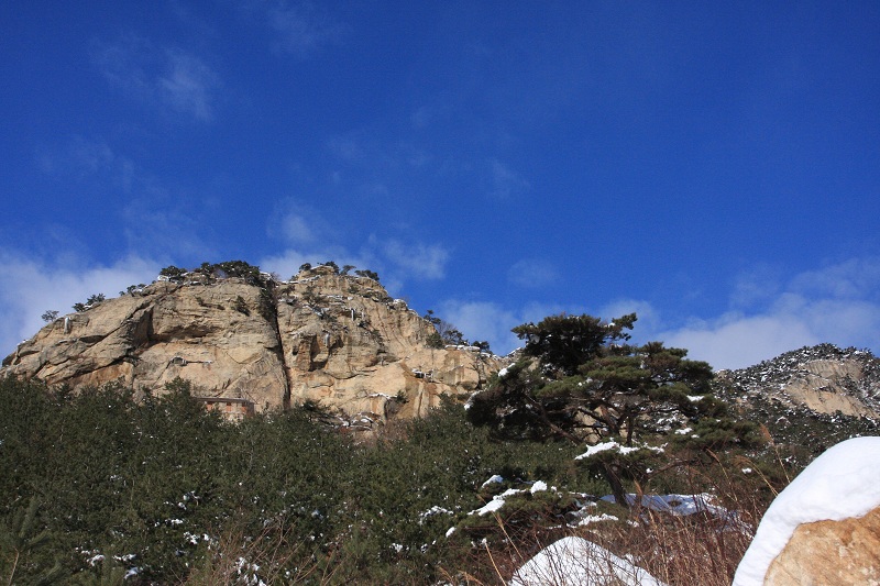 IMG_7643.JPG