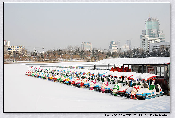 nEO_IMG_DSC_5471.jpg