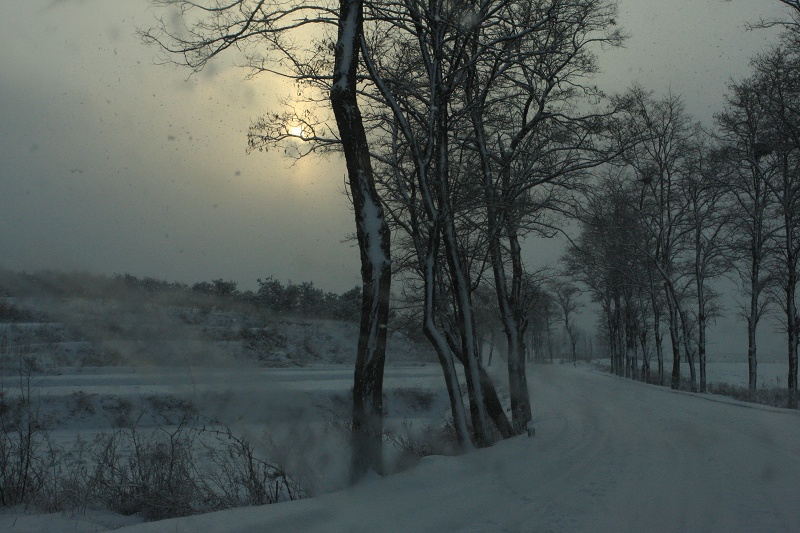 IMG_7690.JPG