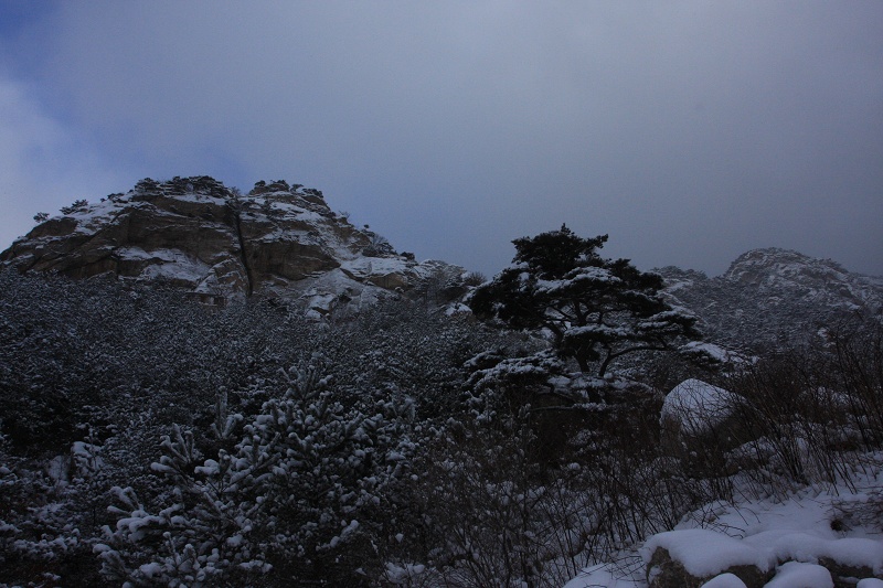 IMG_7698.JPG