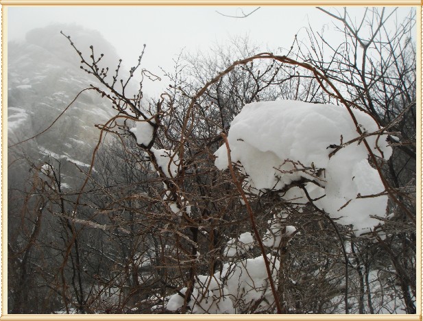 雪行昆嵛 (186).jpg